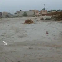 زمین فروشی|فروش زمین و ملک کلنگی|ایرانشهر, |دیوار