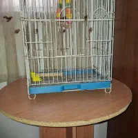 قفس پرنده