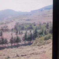 زمین-کشاورزی-در-طالقان-جهت-باغچه-یا-پرورش-شترمرغ