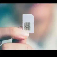 شماره دوازده