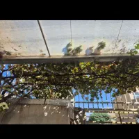 خدمات باغبانی هرس.سمپاشی اصلاح خاک