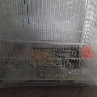 قفس پرنده مخصوص طوطی و فنچ و قناری