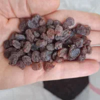 کشمش آفتابی وسرکه طبیعی