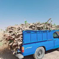 خراطی چوب پالت خدماته پیوندضایعات تیرخریدارم صنوبر|خدمات باغبانی و درختکاری|کمیجان, |دیوار