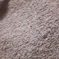 استارتر خوراک مرغ و پرندگان