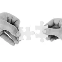 تمایل به همکاری