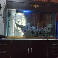 آکواریوم ۱۰ میل