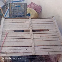 قفس چوبی بزرگ|لوازم جانبی حیوانات|چابهار, |دیوار
