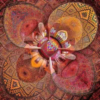 شناسنامه گم کردم