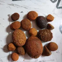 سنگ صفرا گاو