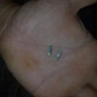 اصل مهره|جواهرات|رودبار (کرمان), |دیوار
