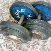 دو عدد وزنه باشگاهی دمبل ۲۰ کیلویی