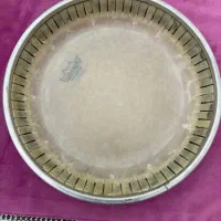 فروش یک عدد پوست کونگا رمو سایز ۱۰