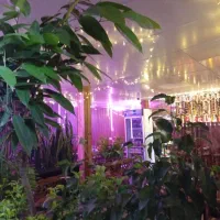 واگذاری کافه با تمام وسایل و مشتری ودخل بالا