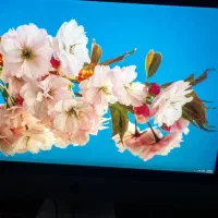 سیستم آل این وان.۲۷ اینچ