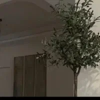 خانه اجاره ای در اباریکی بهار سه