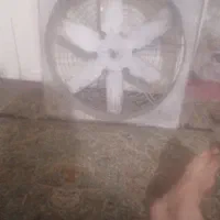 هواکش ابعاد50در59