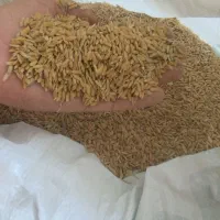 فروش چلتیک|خدمات باغبانی و درختکاری|سیدان, |دیوار