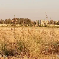زمین 750 متری / شهرکی / سند تک‌برگ|فروش زمین و ملک کلنگی|کرج, شهرک رضوانیه|دیوار