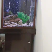 آکواریوم پایه دار ۵۰ سانتی