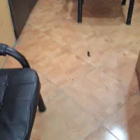 اجاره مغازه ۲۳متراستقامت یک|اجارهٔ مغازه و غرفه|رشت, استقامت ۱|دیوار
