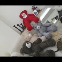 هر رنگ قابل اجرا