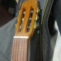 گیتار پارسی p 70|گیتار، بیس، امپلیفایر|شیراز, میانرود|دیوار