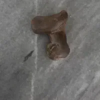 سنگ