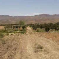 زمین ۱۰۰۰ متری، ساوه، دشت لویین. مناسب باغ ویلا
