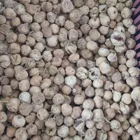 فروش انجیر