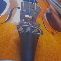 ویولن دست ساز|ویولن|فیروزآباد (فارس), |دیوار