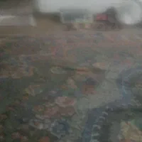 ترازو دیجتال تار الست