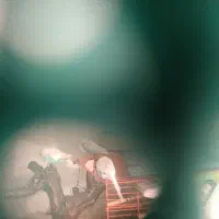 مرغ عشق|پرنده|کوهبنان, |دیوار