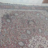 فرش 12متری|فرش|شیراز, دست خضر|دیوار
