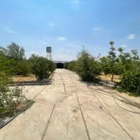 باغ قلات نزدیک خیابان