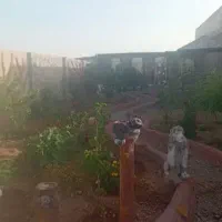 فروش خانه باغ حسن آباد