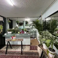 فروش کافه