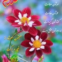گم شده