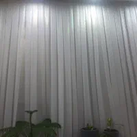 پرده شاین نونو