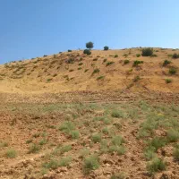 فروش زمین ۴۱۵۳ متری