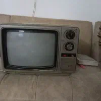 تلوزیون