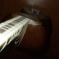 تار شیدا ۲ مهر * فروش تعمیر تدریس