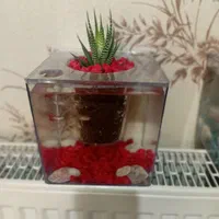 آکواریوم خانگی ( هدیه و کادو )|ماهی|رشت, کوی مهر|دیوار