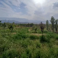 باغ|فروش زمین و ملک کلنگی|ماکو, |دیوار