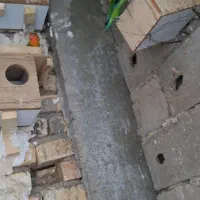 فیشر|پرنده|زرین دشت (فارس), |دیوار