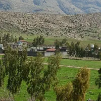 باغ-و-زمین-باغ
