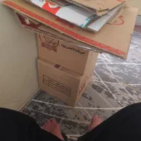 کارتن جهت اسبابکشی