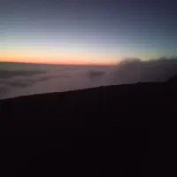 ه   ی.    م.   ه