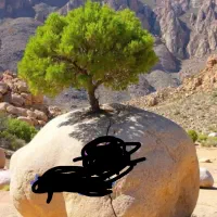 باغ-شهر-نقد-اقساط-شهرشیراز