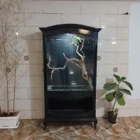 قفس بوفه ای